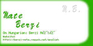 mate berzi business card